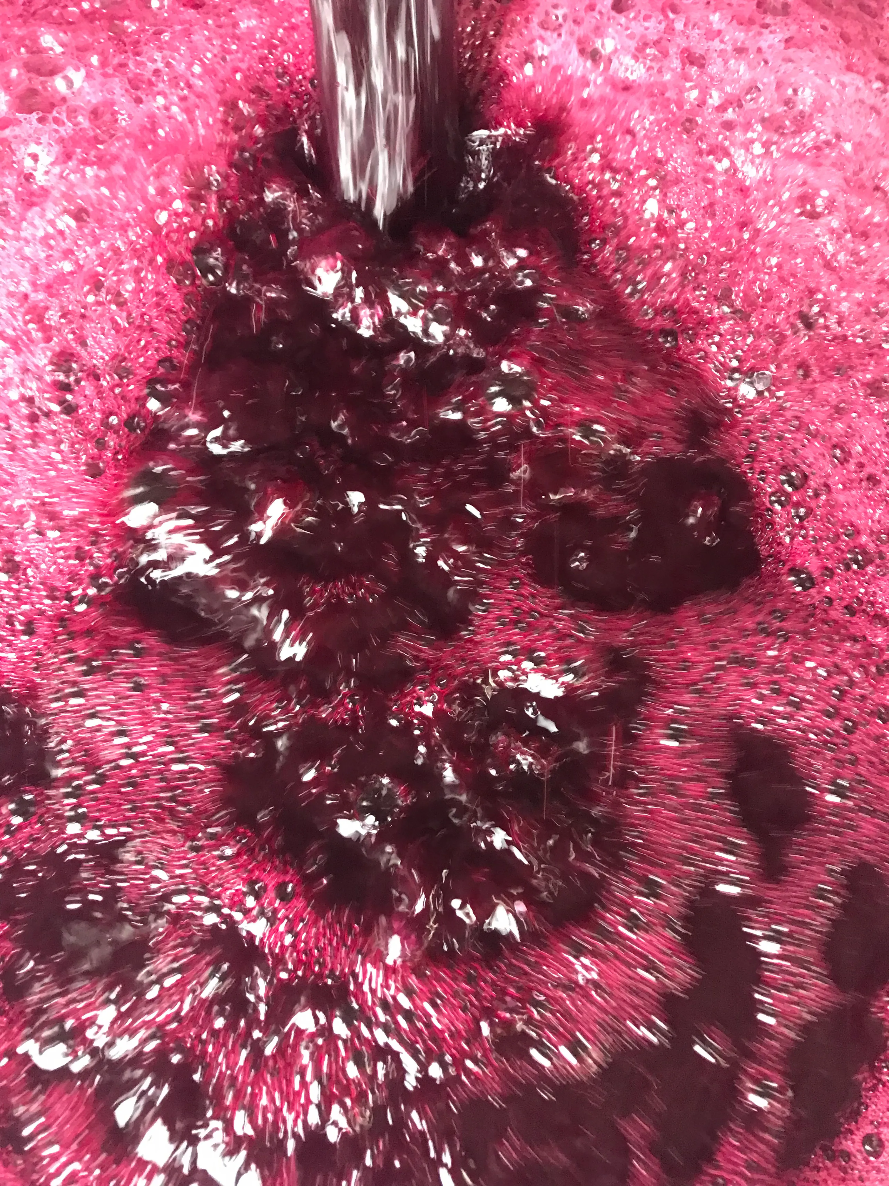 Vinification du vin